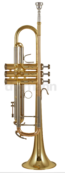 B-Trompete B&S Challenger 3137G-L Goldmessing lackiert